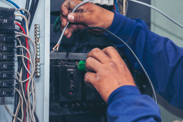 Best Residential Electrician Services  in Port Huron, MI